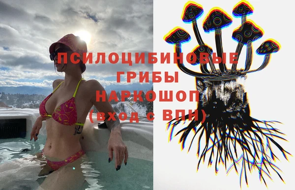 меф Арсеньев