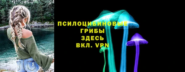 меф Арсеньев