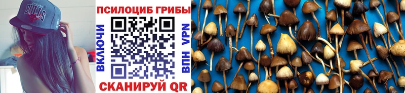 Псилоцибиновые грибы Cubensis  kraken зеркало  Солнечногорск 